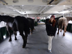 Mackinac Horses 5