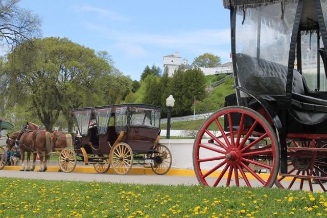 Murdick's Horse Carriages