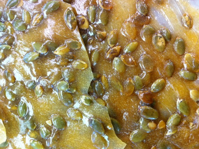 Original Murdick's Fudge Pumpkin Seed Brittle