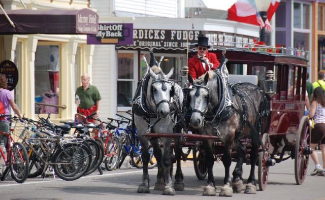 Original Murdick's Fudge Horses of Mackinac Island