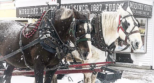 Original Murdick's Fudge Valentine's Day horses delivering fudge