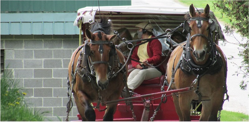 Mackinac Island Carriage Rides